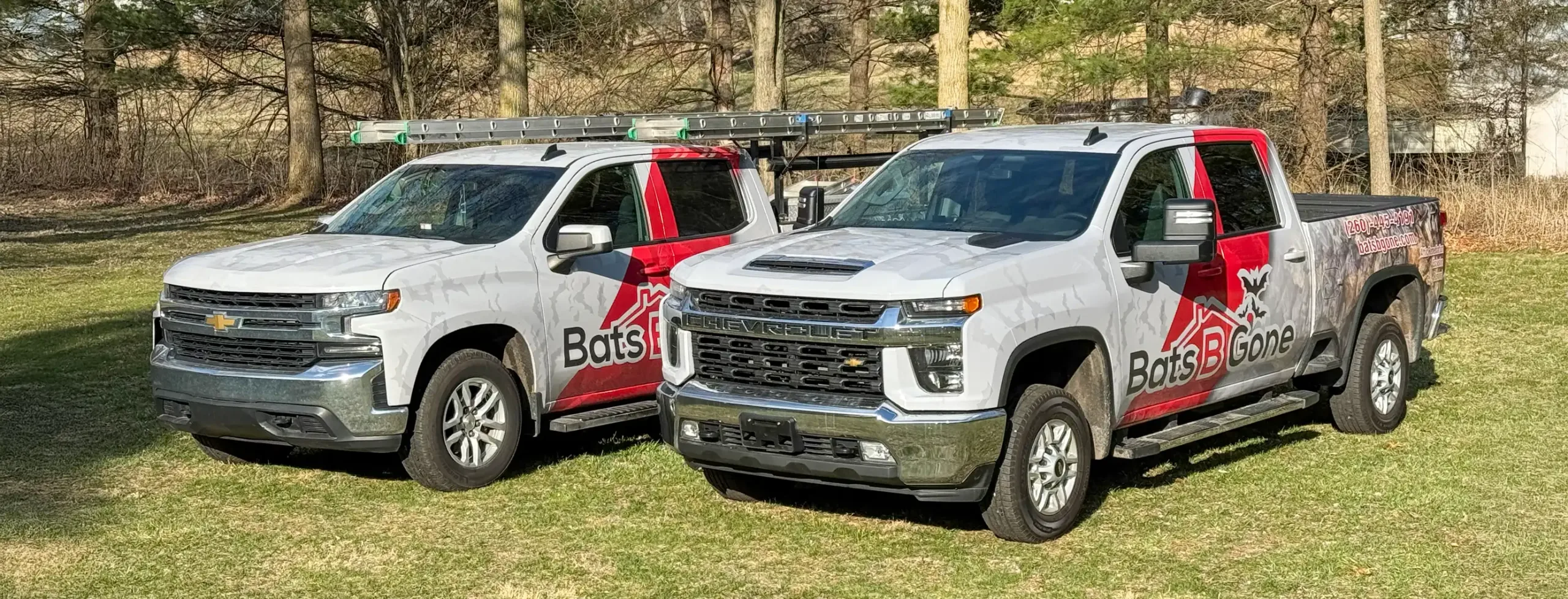 Bats B Gone Bat Removal Service Trucks